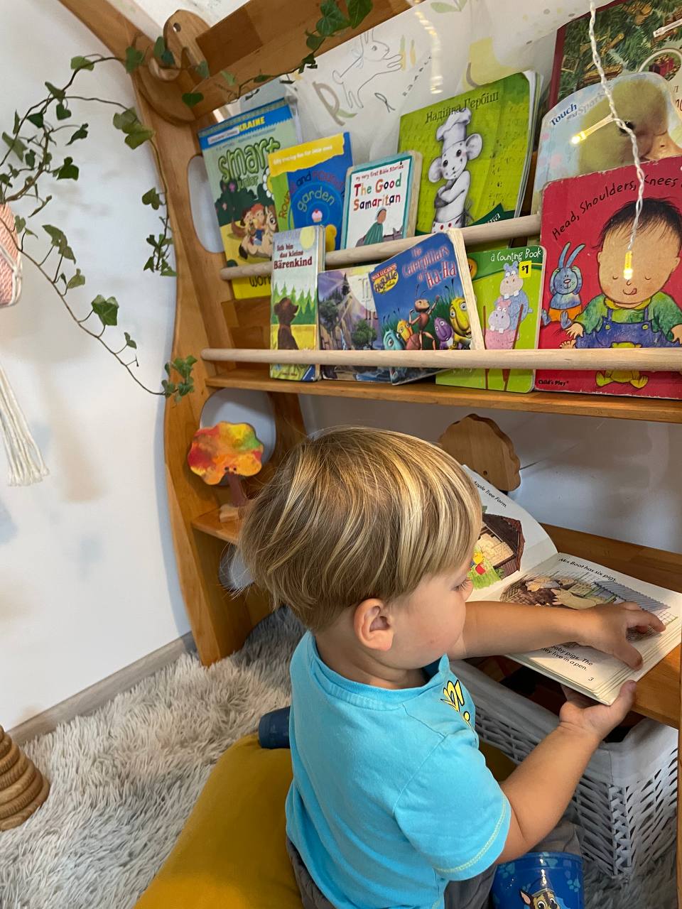 Single Waldorf Play Stand with Bookshelf