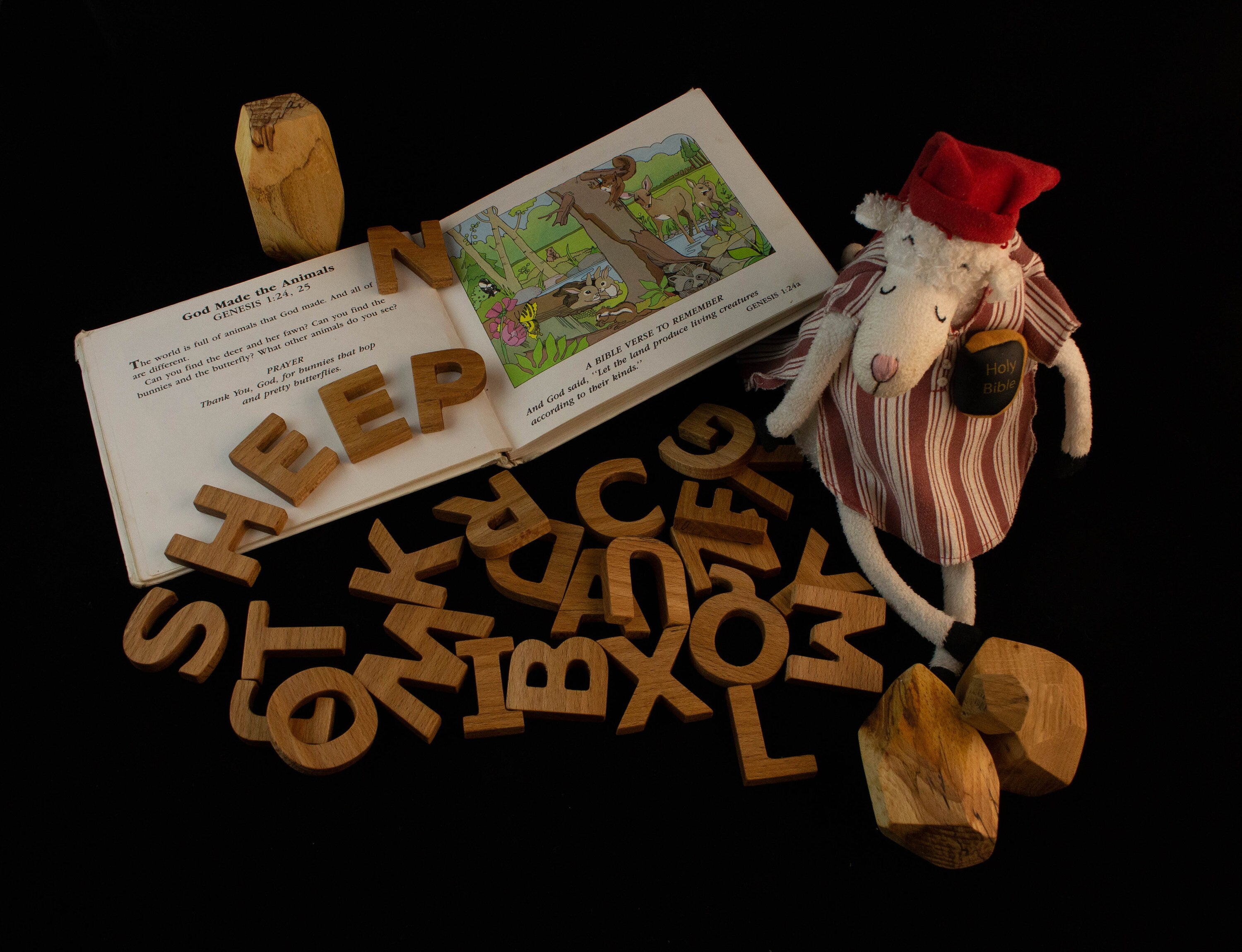 Wooden Letters
