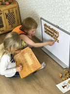 Education Tracing board