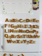 Letters Upper and Lower case
